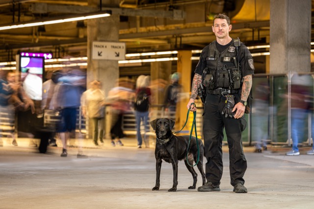K-9 Margo, Black Lab with MBTA Transit Police