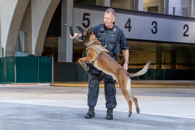K-9 Sunka, Belgian Malinois with MBTA Transit Police