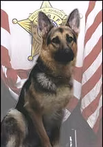 K-9 Cero memorial