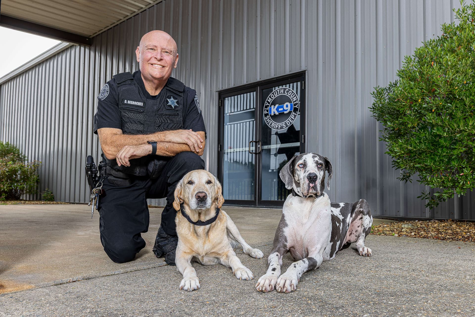 K-9 Rusty & Starr, Yellow Lab & Great Dane with Plymouth County Sheriff Department