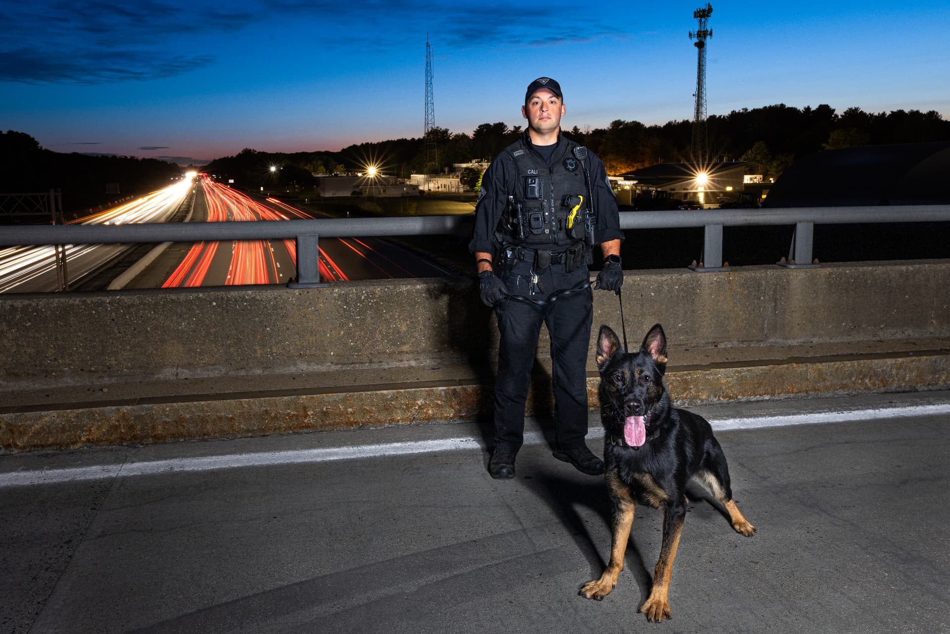 K-9 Ronin, German Shepherd with Massachusetts State Police