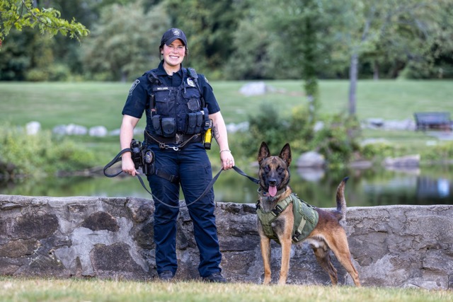 K-9 Yoshi, Belgian Malinois with N. Attleborough PD